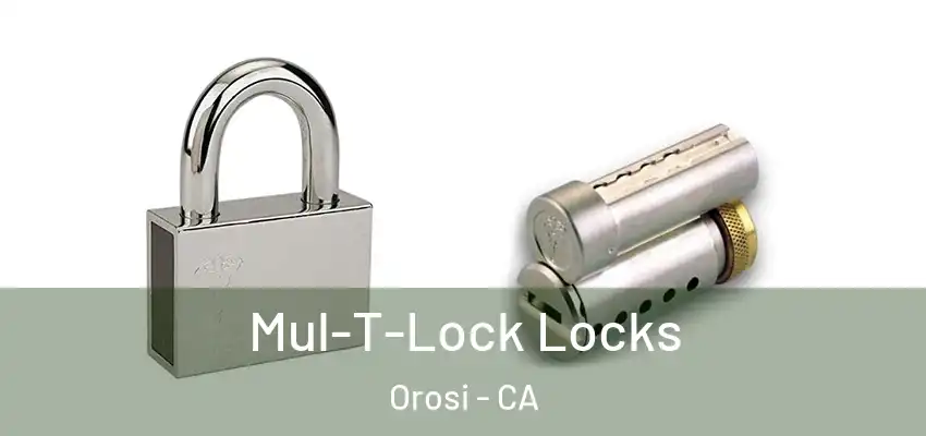  Mul-T-Lock Locks Orosi - CA